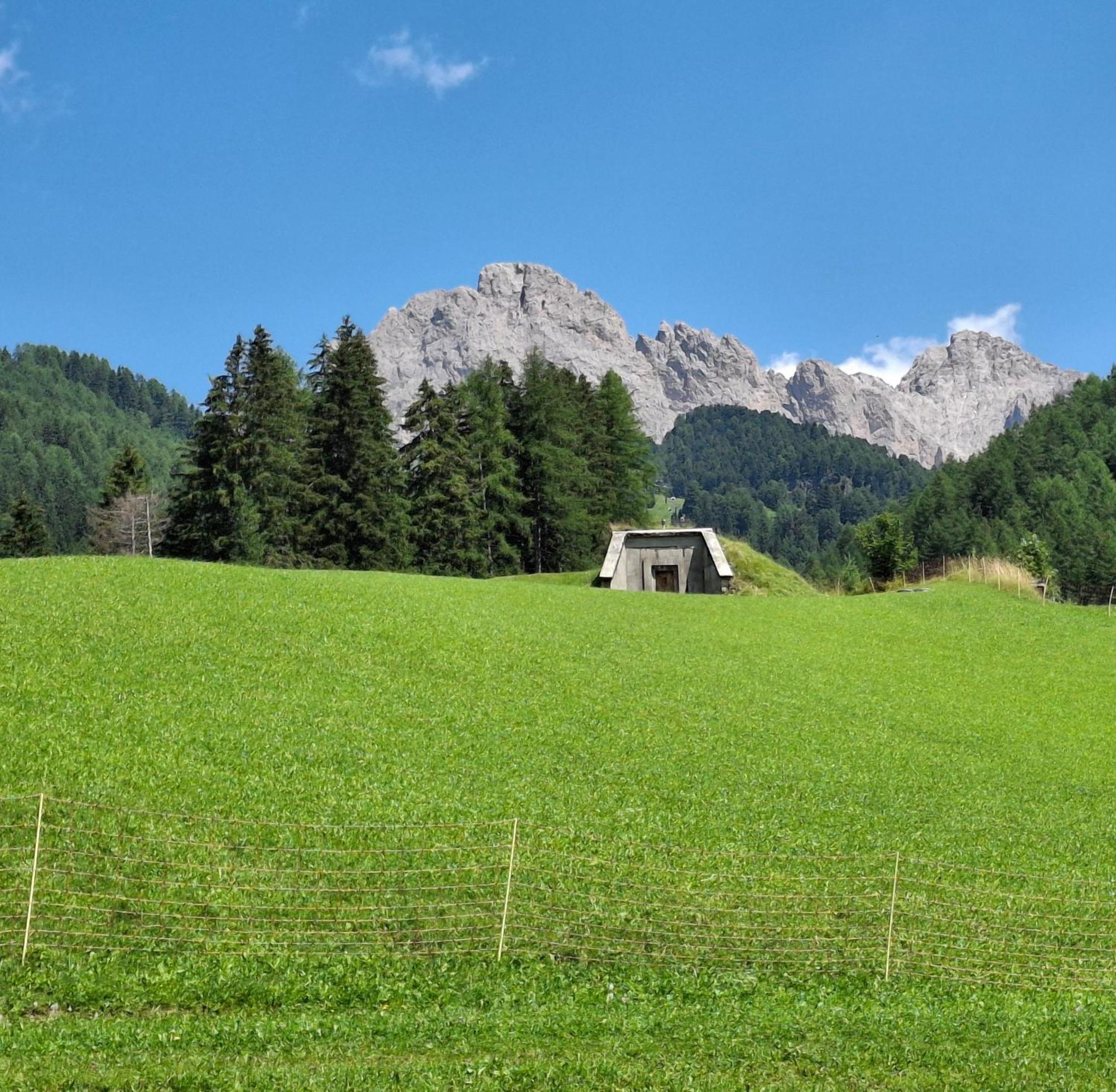 Villa Sella Selva di Val Gardena Exterior photo